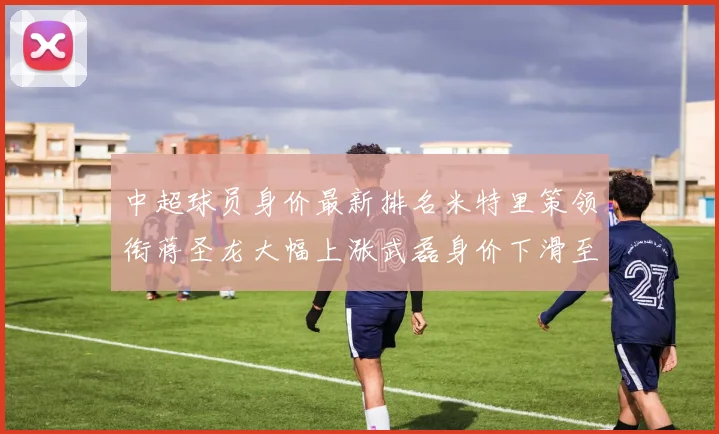中超球员身价最新排名米特里策领衔蒋圣龙大幅上涨武磊身价下滑至50万