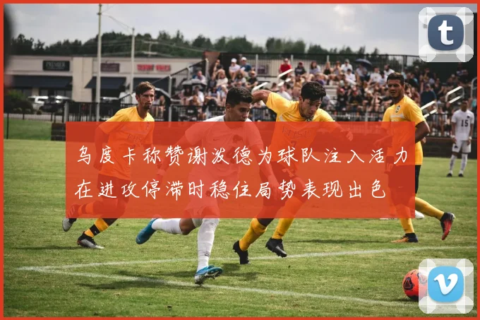 乌度卡称赞谢泼德为球队注入活力在进攻停滞时稳住局势表现出色