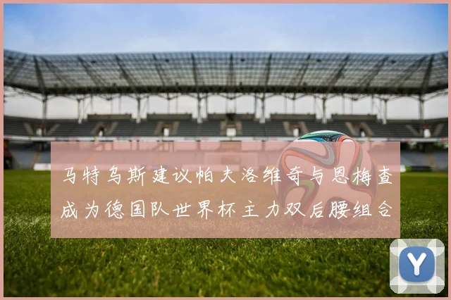 马特乌斯建议帕夫洛维奇与恩梅查成为德国队世界杯主力双后腰组合