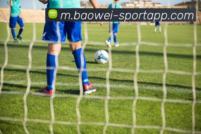 App Interface Preview