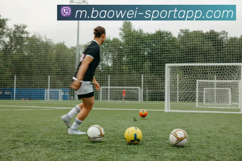 宝威体育APP 封面图